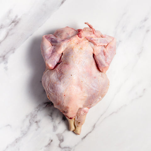 Halal Free Range Chicken Whole